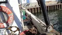 Tàu kéo lưới để bán