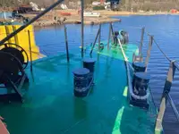 Xà lan rao bán