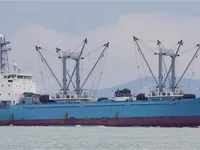 Tàu lạnh để bán