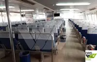 Tàu du lịch để bán