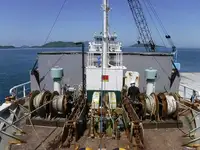 Tàu chở hàng rời để bán