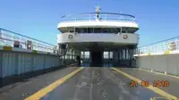 Ro-Ro ship rao bán