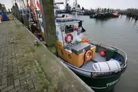 Tàu kéo lưới để bán