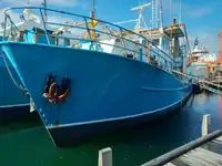 Trawler rao bán