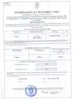 Tàu Ro-Ro để bán