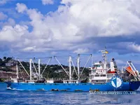 Tàu lạnh để bán