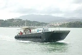 Tàu đổ bộ, chở hàng để bán
