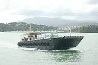 Tàu đổ bộ, chở hàng để bán