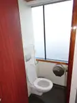 Tàu du lịch để bán