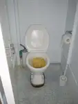 Tàu câu dài để bán