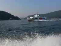 Tàu phà để bán