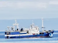 Tàu kéo lưới để bán