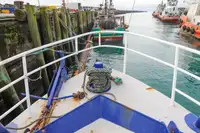 Tàu chở khí tự nhiên hóa lỏng (LNG) để bán