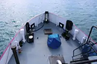 General Cargo/Multi-purpose để bán