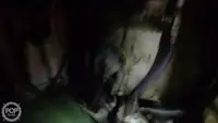 Tàu kéo lưới để bán