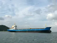 Tàu chở hàng rời để bán