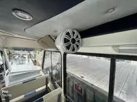 Tàu du lịch để bán