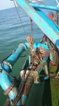 Tàu nạo vét để bán