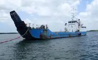 Tàu đổ bộ, chở hàng để bán