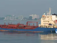 Tàu chở dầu/hóa chất để bán