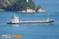 Tàu chở hàng rời để bán