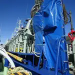 Purse seiner rao bán