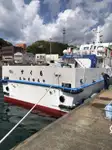 Tàu chở hàng rời để bán