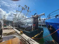 Tàu kéo lưới để bán