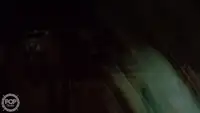 Tàu kéo lưới để bán