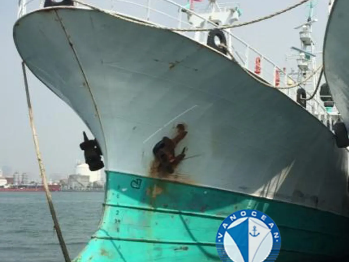 Tàu câu dài để bán