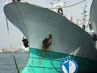 Tàu câu dài để bán