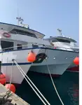Catamaran rao bán