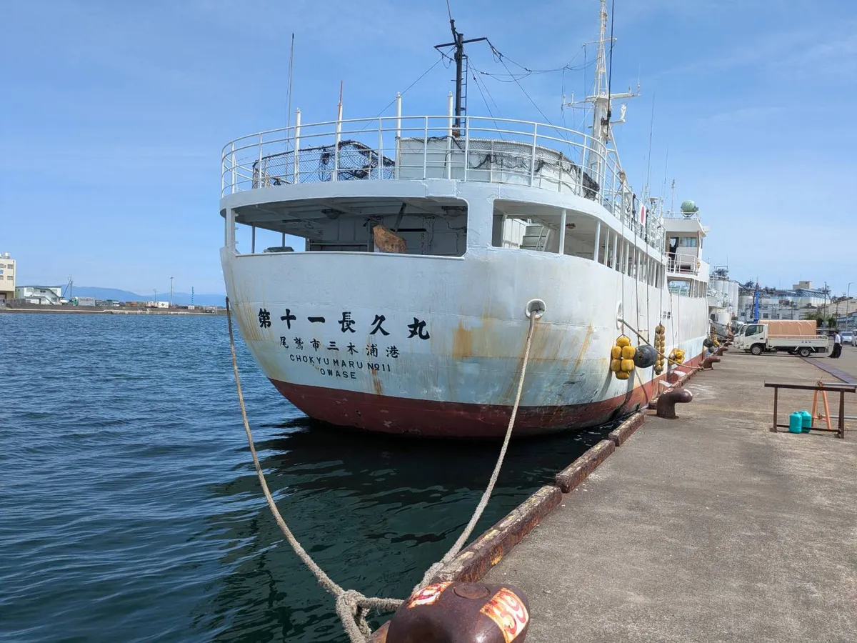 Tàu câu dài để bán