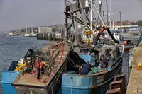 Tàu lưới vây để bán