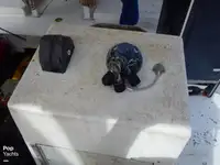 Tàu kéo lưới để bán