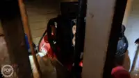 Tàu kéo lưới để bán