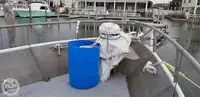 Tàu kéo lưới để bán