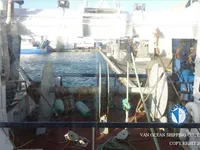 Tàu kéo lưới để bán