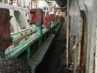 Tàu câu mực để bán