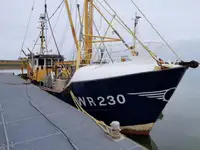 Trawler rao bán
