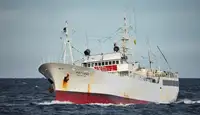 Trawler rao bán