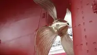 Tàu câu dài để bán