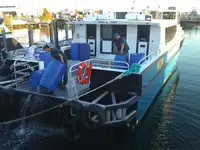 Catamaran rao bán