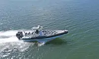 Thuyền phao cứng để bán