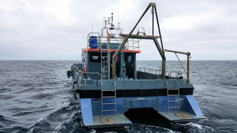 Tàu container để bán