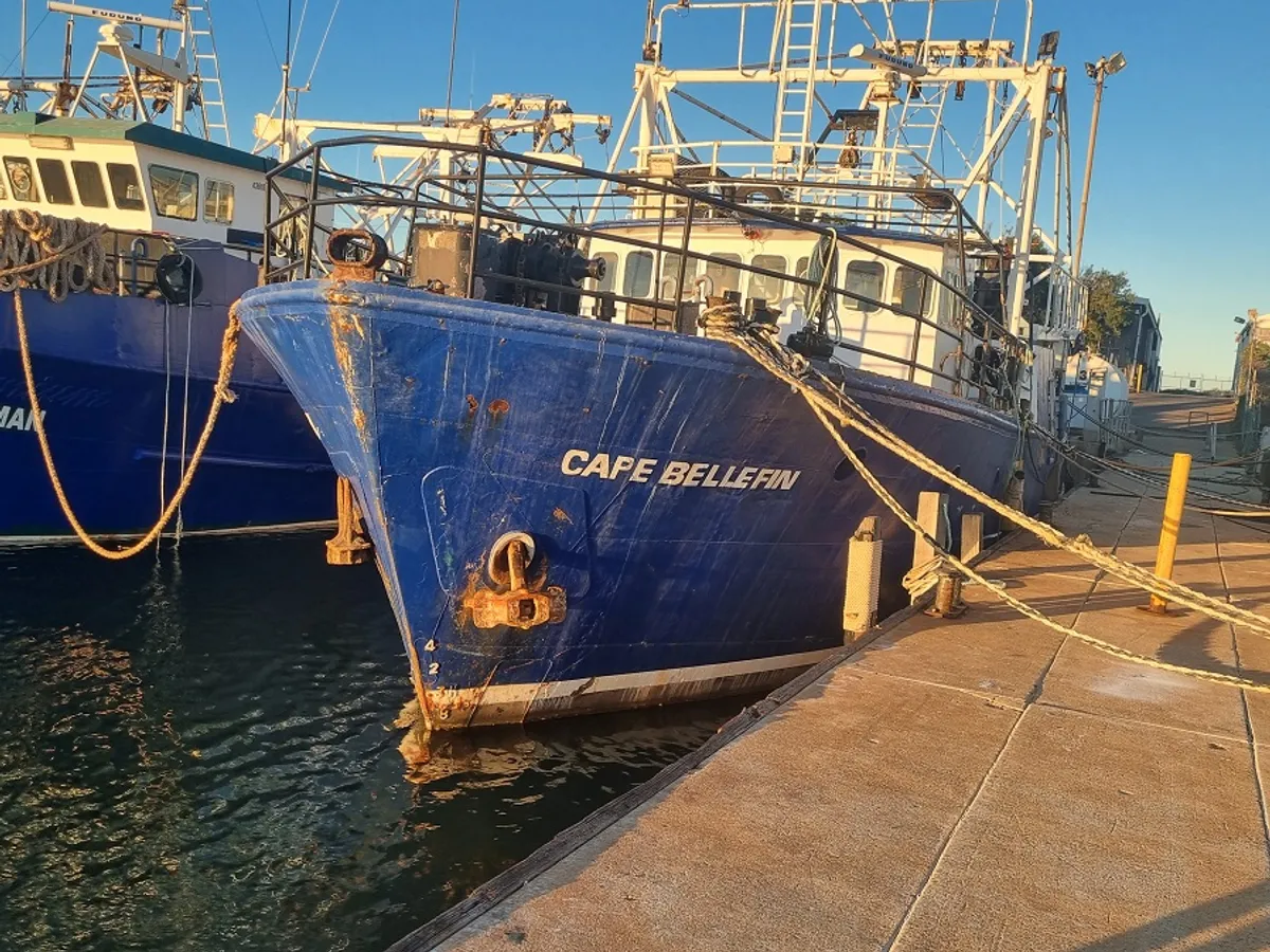 Tàu kéo lưới để bán