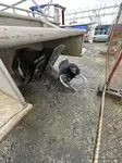Tàu tuần tra để bán