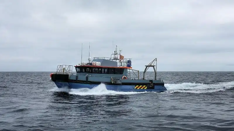 Tàu container để bán