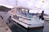 Tàu phà để bán