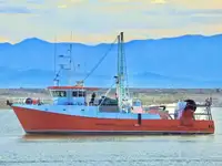 Trawler rao bán